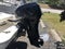 2006 BOSTON WHALER 110 SPORT Base