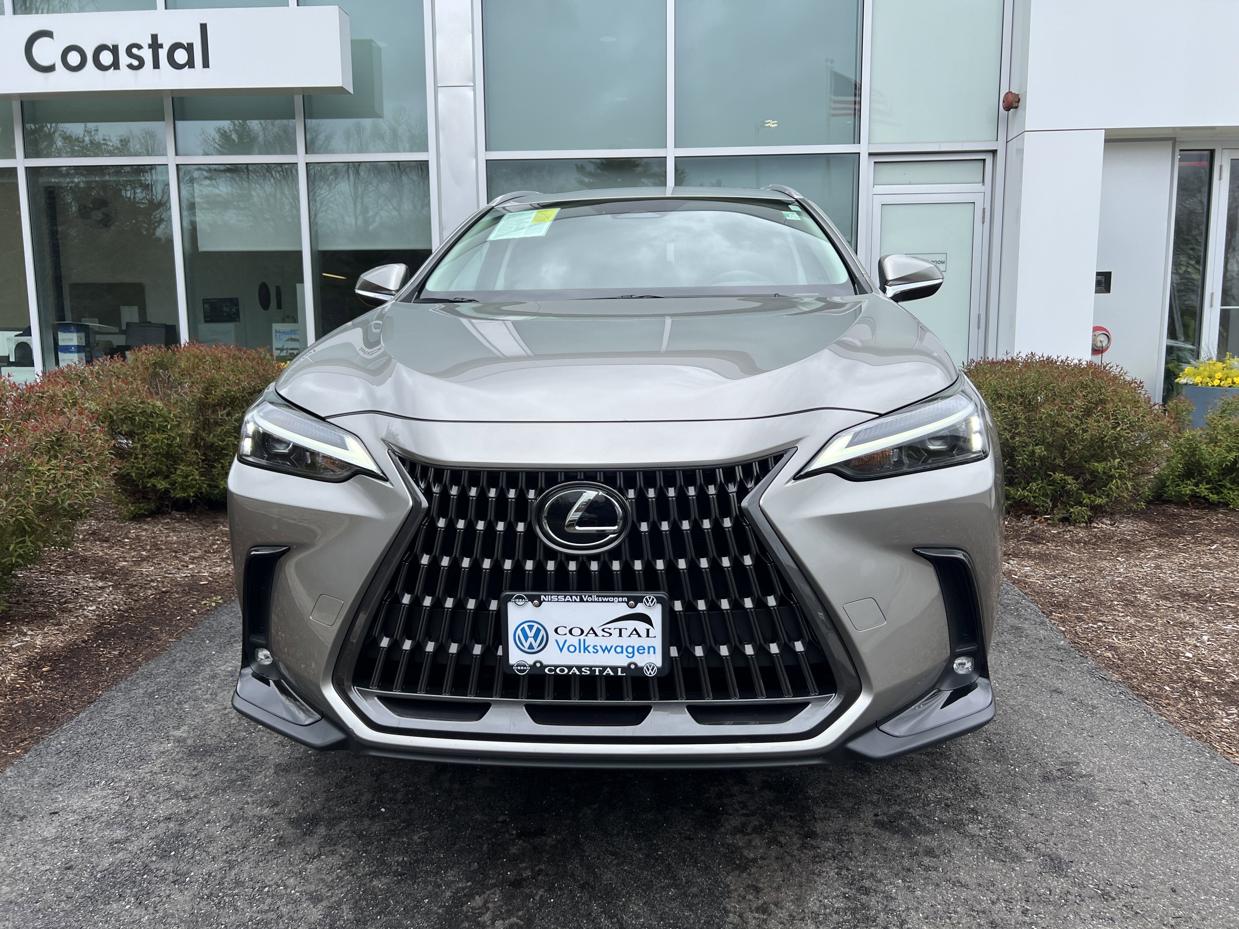2024 Lexus NX NX 350