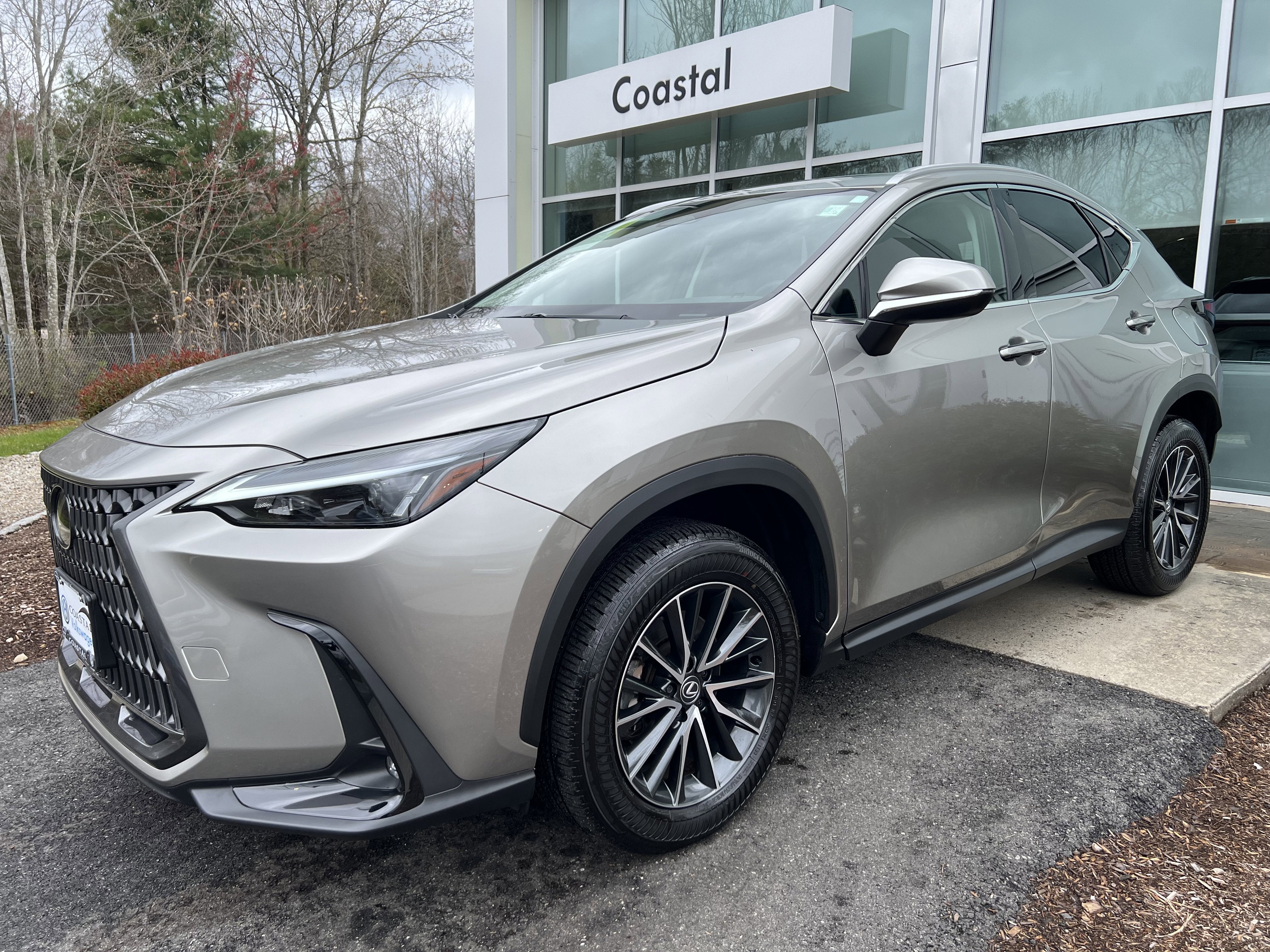 2024 Lexus NX NX 350